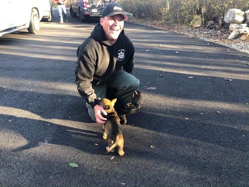 puppy training